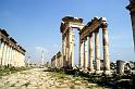 14 Apamea